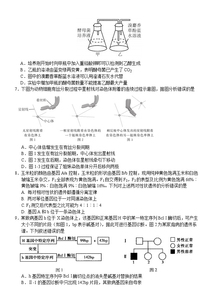 江苏省扬州中学2021-2022学年高三下学期二模测试生物试题（4月）（含答案）02