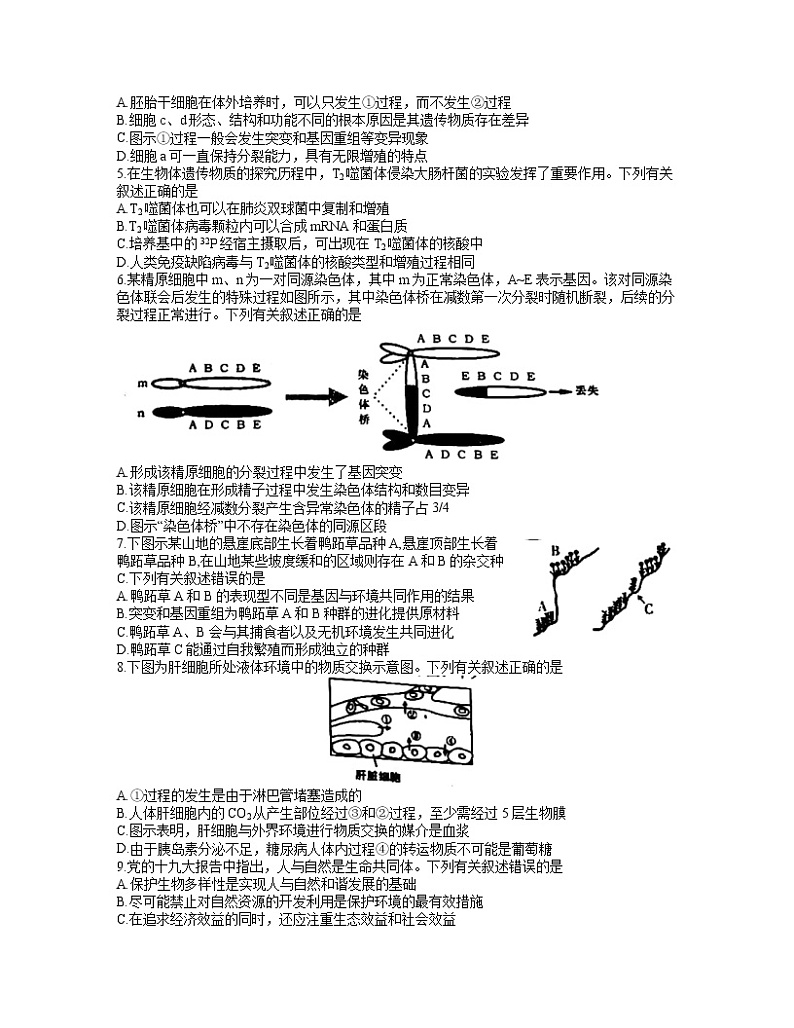 江苏省盐城市2021届高三第三次模拟考试生物试题02