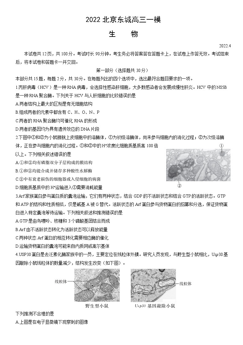 2022届北京市东城区高三一模生物试题（含答案）01