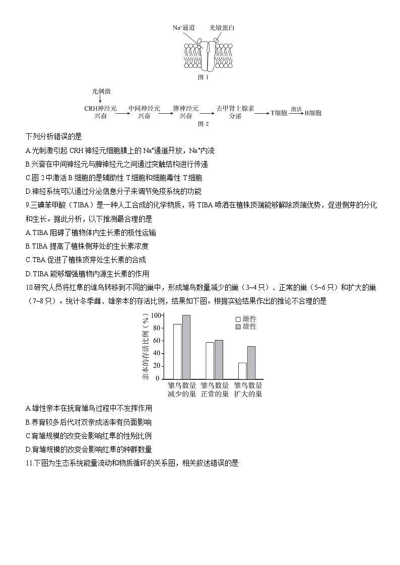 2022届北京市东城区高三一模生物试题（含答案）03