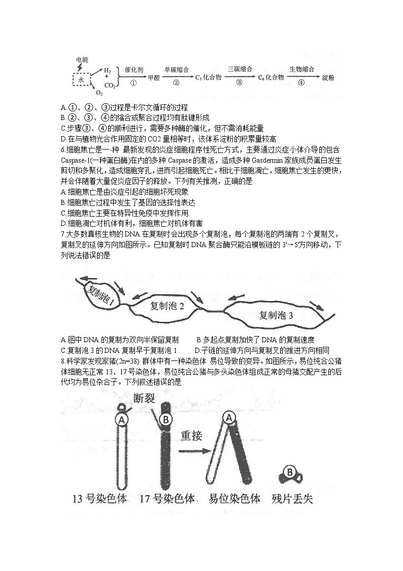 2022届辽宁省锦州市高三一模生物试题(含答案)第2页