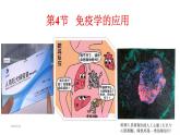 4.4免疫学的应用课件2021-2022学年高二上学期生物人教版选择性必修1