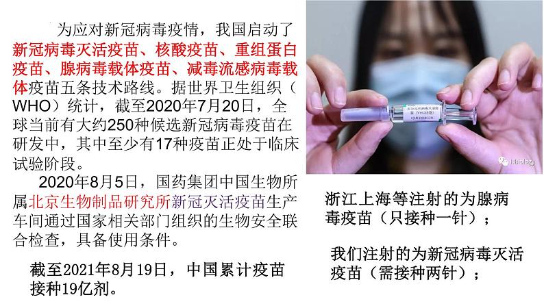 4.4免疫学的应用课件2021-2022学年高二上学期生物人教版选择性必修102