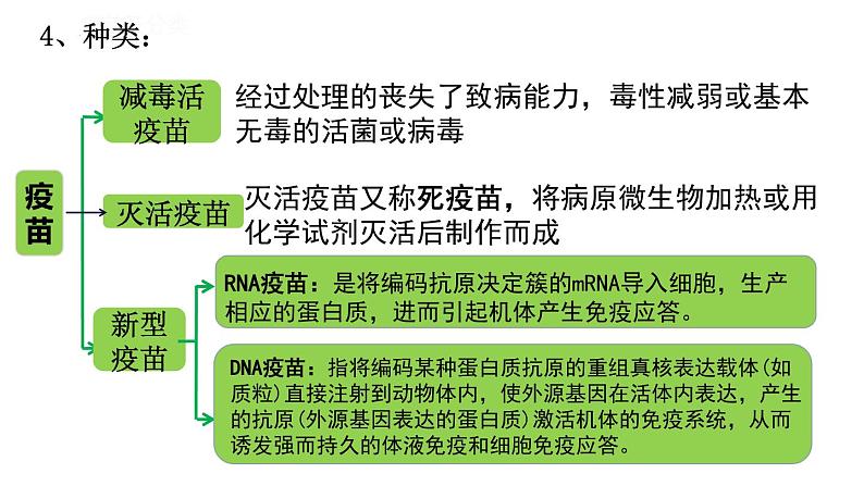 4.4免疫学的应用课件2021-2022学年高二上学期生物人教版选择性必修108