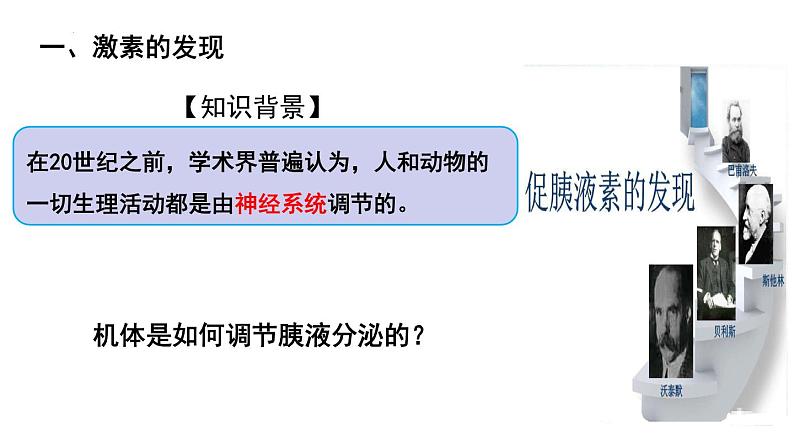 3.1激素与内分泌系统课件2021-2022学年高二上学期生物人教版选择性必修1第4页