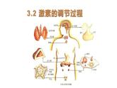 3.2激素调节的过程课件2021-2022学年高二上学期生物人教版选择性必修1