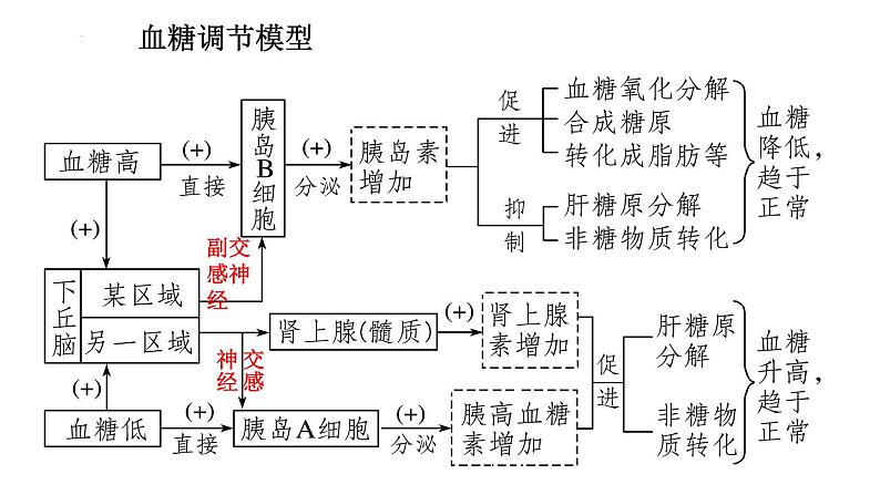 3.2激素调节的过程课件2021-2022学年高二上学期生物人教版选择性必修108