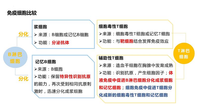 4.1免疫系统的组成和功能课件2021-2022学年高二上学期生物人教版选择性必修108