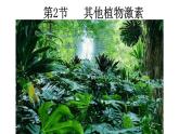 5.2其他植物激素课件2021-2022学年高二上学期生物人教版选择性必修1