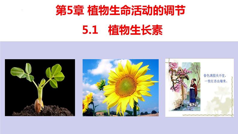 5.1植物生长素(1)课件2021-2022学年高二上学期生物人教版选择性必修1第1页