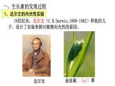 5.1植物生长素(1)课件2021-2022学年高二上学期生物人教版选择性必修1