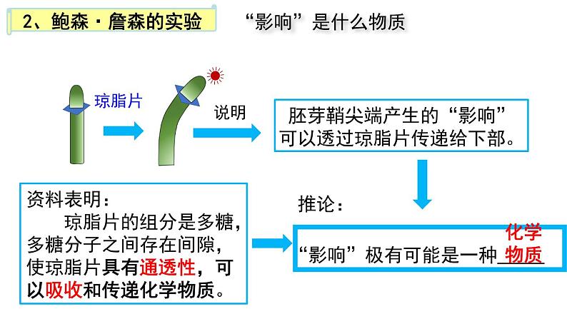 5.1植物生长素(1)课件2021-2022学年高二上学期生物人教版选择性必修1第7页