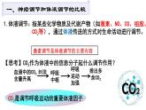 3.3体液调节与神经调节的关系课件2021-2022学年高二上学期生物人教版选择性必修1