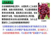 5.3植物生长调节剂的应用课件2021-2022学年高二上学期生物人教版选择性必修1