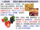 5.3植物生长调节剂的应用课件2021-2022学年高二上学期生物人教版选择性必修1