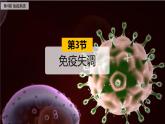4.3免疫失调课件2021-2022学年高二上学期生物人教版选择性必修1