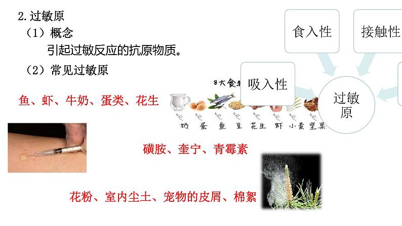 4.3免疫失调课件2021-2022学年高二上学期生物人教版选择性必修1第5页