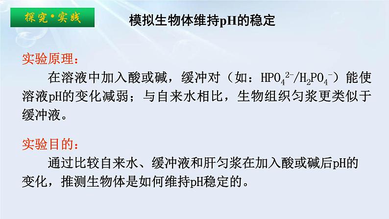 1.2内环境的稳态课件2021-2022学年高二上学期生物人教版选择性必修1第6页