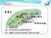 1.1细胞生活的环境课件2021-2022学年高二上学期生物人教版选择性必修1