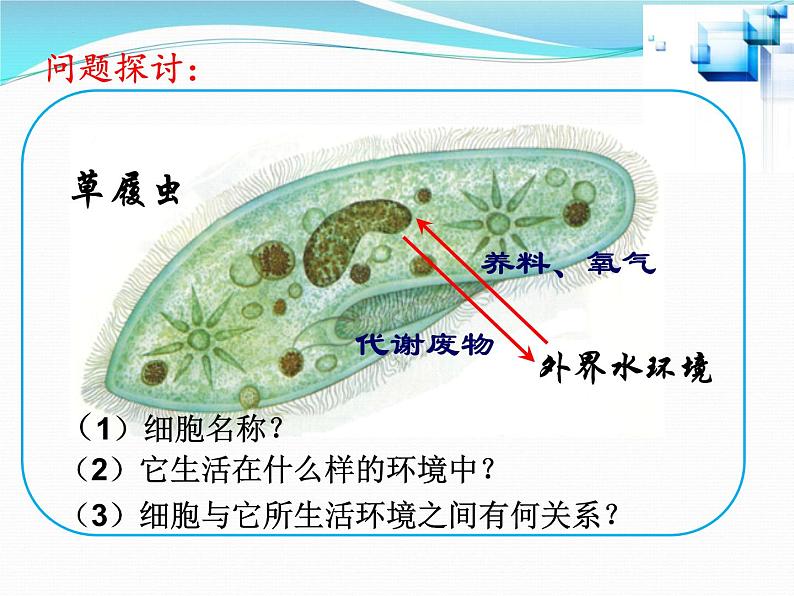 1.1细胞生活的环境课件2021-2022学年高二上学期生物人教版选择性必修103