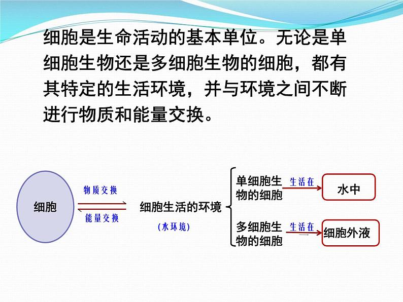 1.1细胞生活的环境课件2021-2022学年高二上学期生物人教版选择性必修105