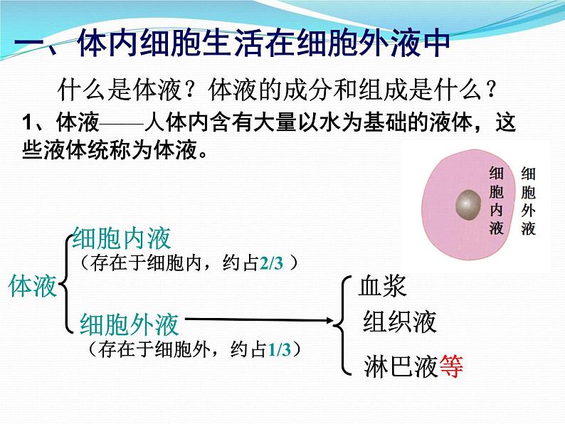 1.1细胞生活的环境课件2021-2022学年高二上学期生物人教版选择性必修107