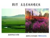 3.5生态系统的稳定性课件2021-2022学年高二上学期生物人教版选择性必修2