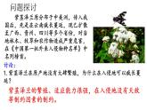 3.5生态系统的稳定性课件2021-2022学年高二上学期生物人教版选择性必修2