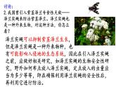 3.5生态系统的稳定性课件2021-2022学年高二上学期生物人教版选择性必修2