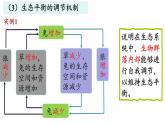 3.5生态系统的稳定性课件2021-2022学年高二上学期生物人教版选择性必修2