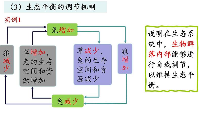 3.5生态系统的稳定性课件2021-2022学年高二上学期生物人教版选择性必修2第5页