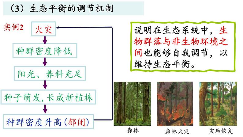 3.5生态系统的稳定性课件2021-2022学年高二上学期生物人教版选择性必修2第6页