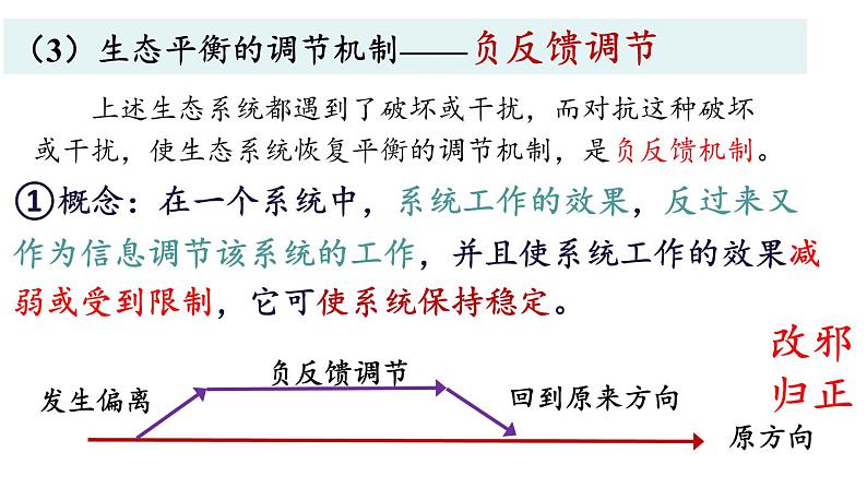 3.5生态系统的稳定性课件2021-2022学年高二上学期生物人教版选择性必修2第7页