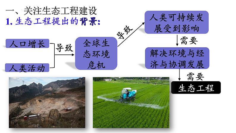 4.3生态工程课件2021-2022学年高二上学期生物人教版选择性必修2第3页