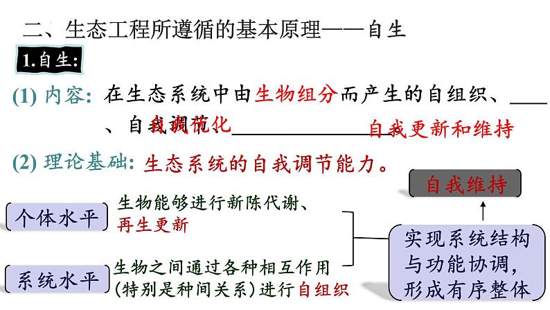 4.3生态工程课件2021-2022学年高二上学期生物人教版选择性必修2第7页