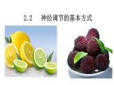 2.2神经调节的基本方式 课件2021-2022学年高二上学期生物人教版选择性必修1