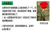 2.2神经调节的基本方式 课件2021-2022学年高二上学期生物人教版选择性必修1