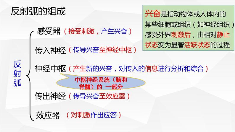 2.2神经调节的基本方式 课件2021-2022学年高二上学期生物人教版选择性必修108