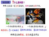 1.1种群的数量特征课件2021-2022学年高二上学期生物人教版选择性必修2