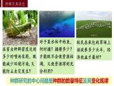 1.1种群的数量特征课件2021-2022学年高二上学期生物人教版选择性必修2