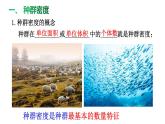 1.1种群的数量特征课件2021-2022学年高二上学期生物人教版选择性必修2