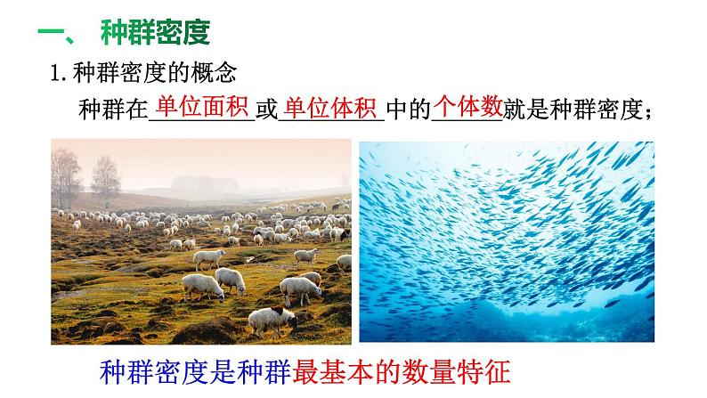 1.1种群的数量特征课件2021-2022学年高二上学期生物人教版选择性必修2第5页