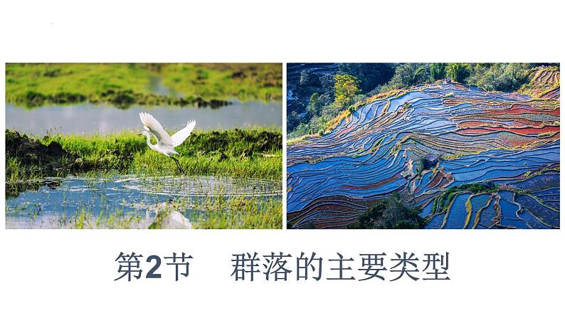 2.2群落的主要类型课件2021-2022学年高二上学期生物人教版选择性必修2第1页