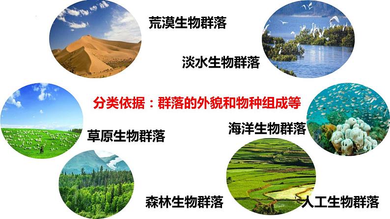 2.2群落的主要类型课件2021-2022学年高二上学期生物人教版选择性必修2第2页