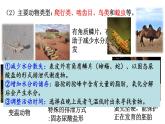 2.2群落的主要类型课件2021-2022学年高二上学期生物人教版选择性必修2