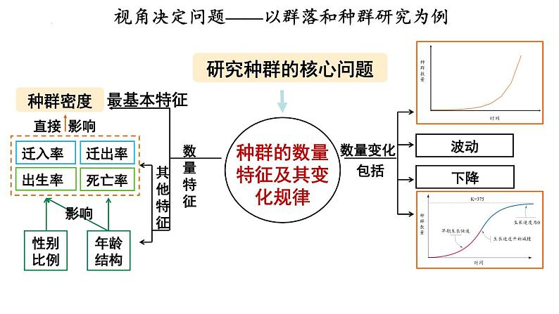 2.1群落的结构课件2021-2022学年高二上学期生物人教版选择性必修2第3页