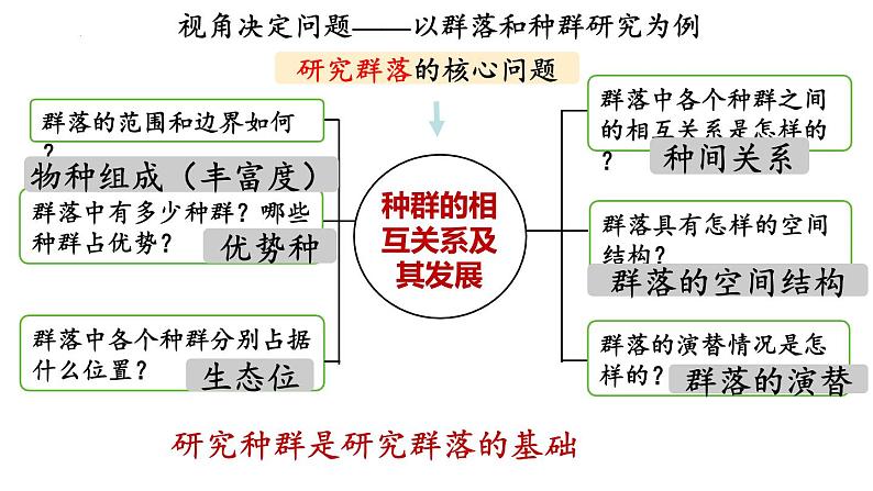 2.1群落的结构课件2021-2022学年高二上学期生物人教版选择性必修2第4页