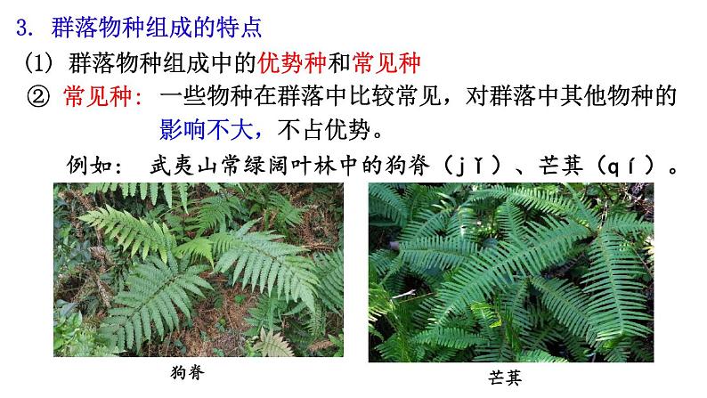 2.1群落的结构课件2021-2022学年高二上学期生物人教版选择性必修2第8页