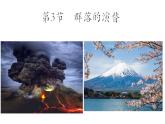 2.3群落的演替课件2021-2022学年高二上学期生物人教版选择性必修2