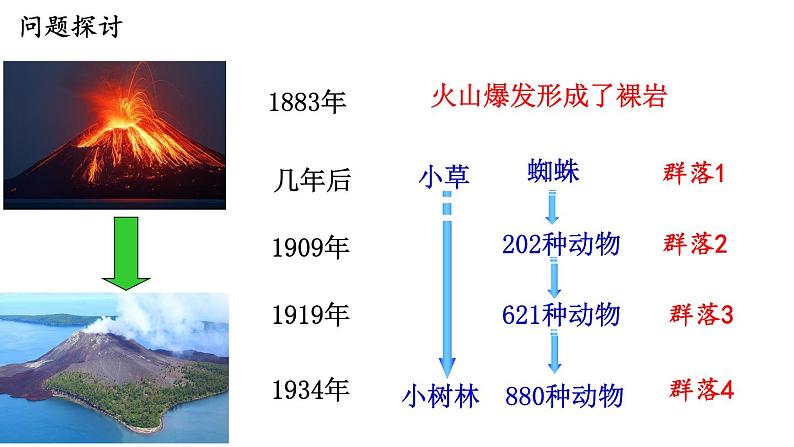 2.3群落的演替课件2021-2022学年高二上学期生物人教版选择性必修2第3页